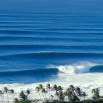 advanced surf guide workshop north shore oahu