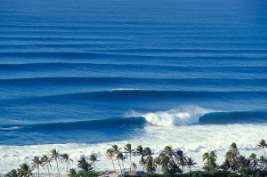 advanced surf guide workshop north shore oahu