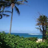 sunset-beach-surf-camp-oahu sunset beach surf camp oahu